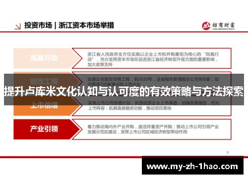 提升卢库米文化认知与认可度的有效策略与方法探索