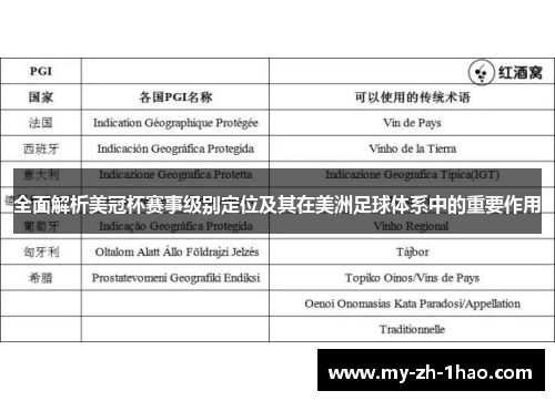 全面解析美冠杯赛事级别定位及其在美洲足球体系中的重要作用