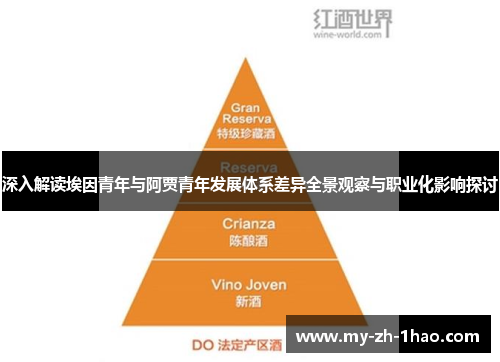 深入解读埃因青年与阿贾青年发展体系差异全景观察与职业化影响探讨 深入解读埃因青年与阿贾青年发展体系差异全景观察与职业化影响探讨