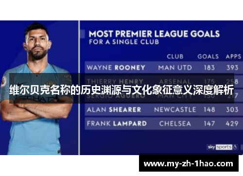 维尔贝克名称的历史渊源与文化象征意义深度解析