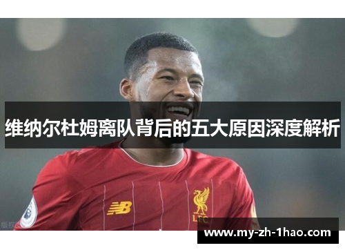维纳尔杜姆离队背后的五大原因深度解析