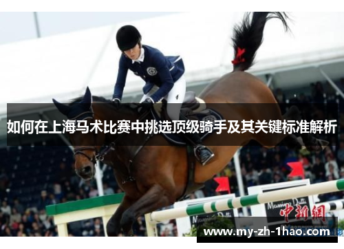 如何在上海马术比赛中挑选顶级骑手及其关键标准解析