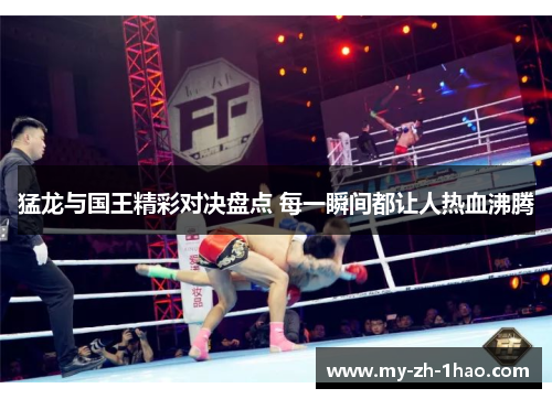 猛龙与国王精彩对决盘点 每一瞬间都让人热血沸腾
