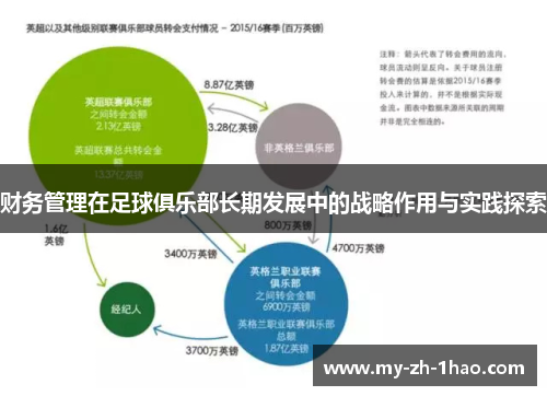 财务管理在足球俱乐部长期发展中的战略作用与实践探索